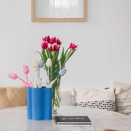 Cozy Traditional Dutch Close To Amsterdam & Tulips *