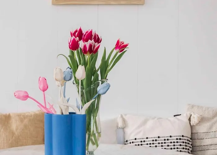 Cozy Traditional Dutch Close To Amsterdam & Tulips *