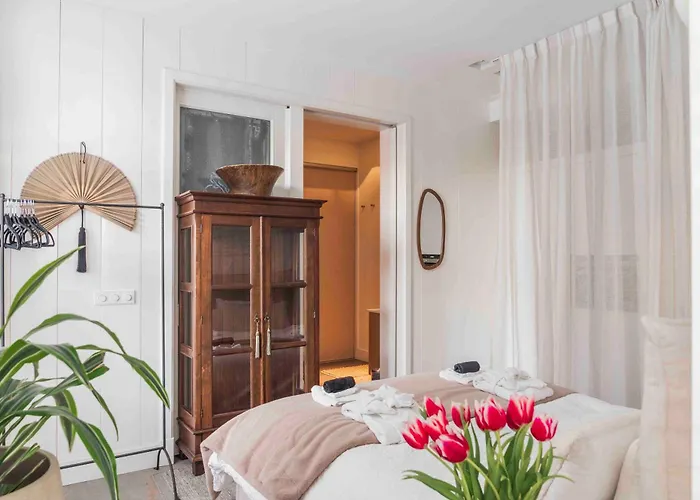Cozy Traditional Dutch Close To Amsterdam & Tulips